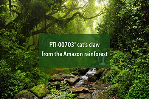 Percepta Sport: Natural Brain Supplement for Athletes