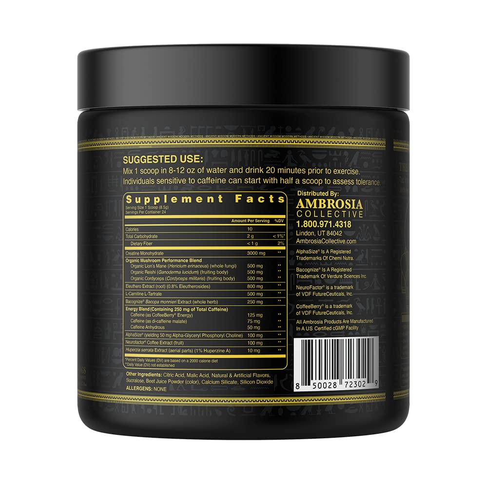 Ambrosia Kinetic Organic Mushroom Preworkout Powder