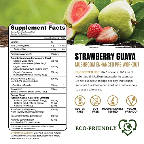 Ambrosia Kinetic Organic Mushroom Preworkout Powder