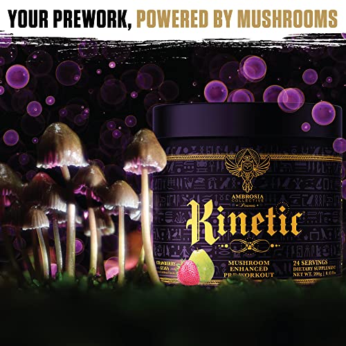Ambrosia Kinetic Organic Mushroom Preworkout Powder
