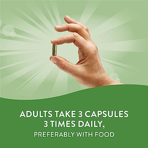 Nature's Way Echinacea Purpurea Capsules, Immune Support