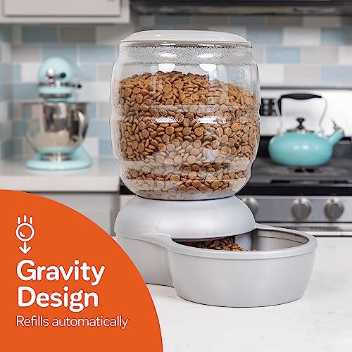 Automatic Smart Pet Feeder - Pearl Peacock Blue