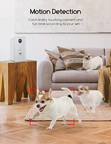 Faroro 1080P Dog Camera with Treat Dispenser