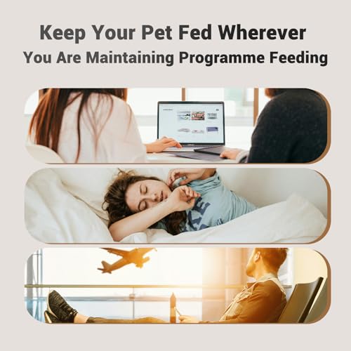 Smart Pet Feeder: Programmable 4L Automatic Dispenser