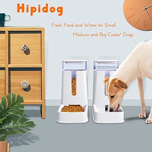 Automatic Feeder and Water Dispenser Set for Pets