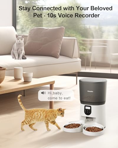 Double Automatic Cat Feeder with 2 Bowls, 6L