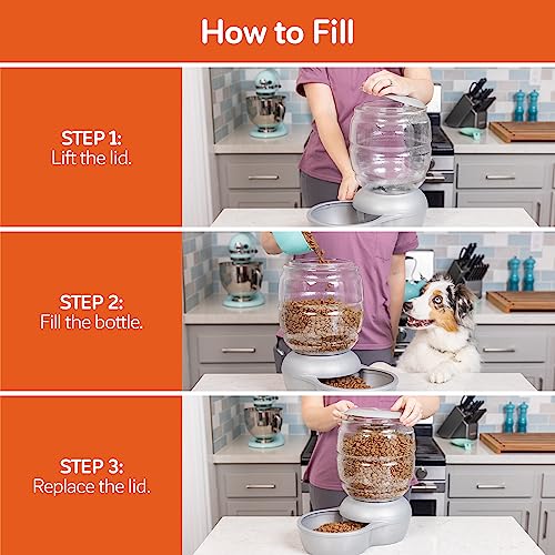 Automatic Smart Pet Feeder - Pearl Peacock Blue