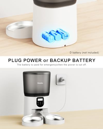 Double Automatic Cat Feeder with 2 Bowls, 6L