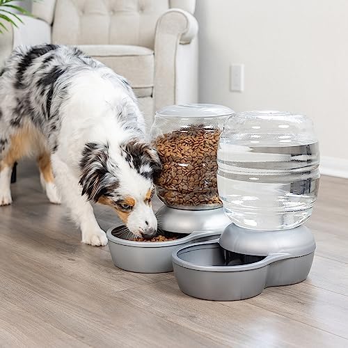 Automatic Smart Pet Feeder - Pearl Peacock Blue