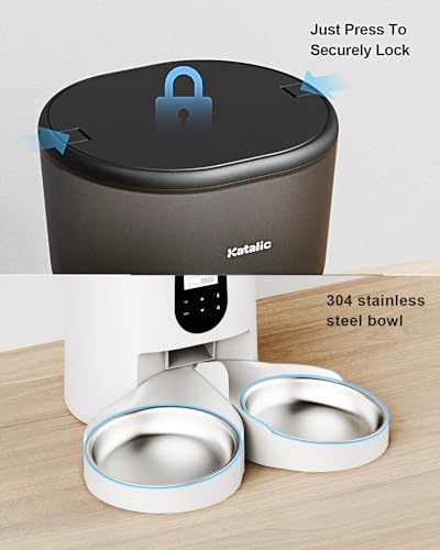 Double Automatic Cat Feeder with 2 Bowls, 6L