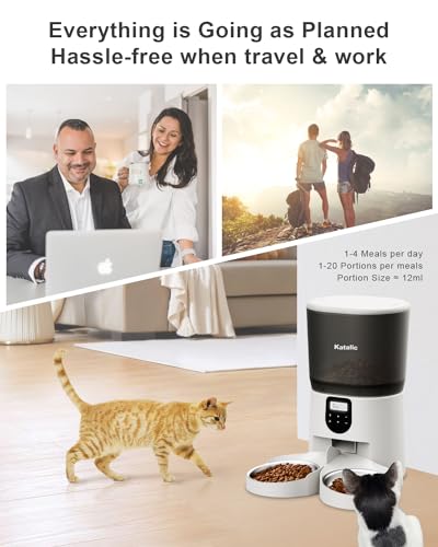 Double Automatic Cat Feeder with 2 Bowls, 6L