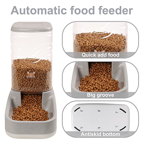 Automatic Pet Food and Water Dispenser Set