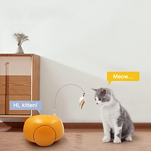 Automatic Pet Feeder with Camera and Night Vision