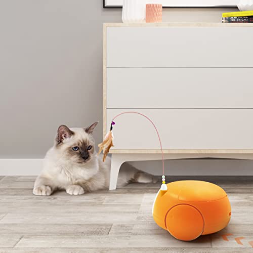 Automatic Pet Feeder with Camera and Night Vision