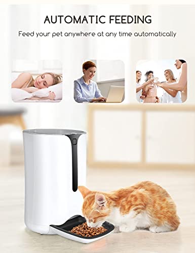 Smart Pet Feeder with Timer and Voice Recorder