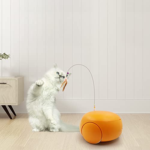 Automatic Pet Feeder with Camera and Night Vision