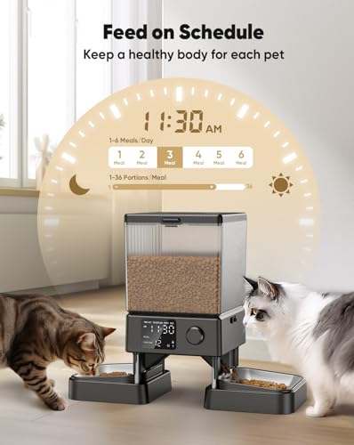 oneisall Automatic Cat Feeder for Two Cats