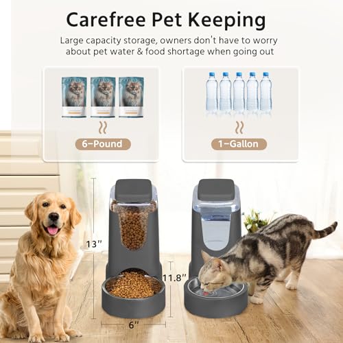 Automatic Pet Feeder & Water Dispenser Set