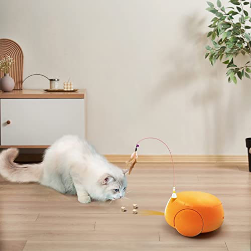 Automatic Pet Feeder with Camera and Night Vision