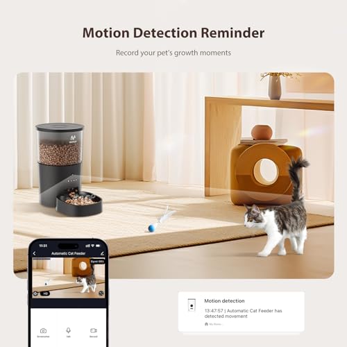 Smart Cat Feeder with Camera and APP Control