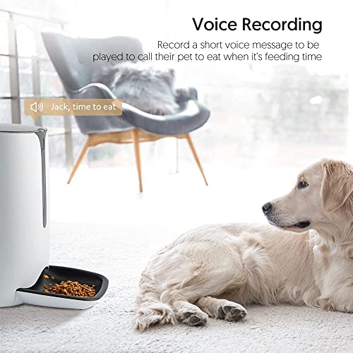 Smart Pet Feeder with Timer and Voice Recorder