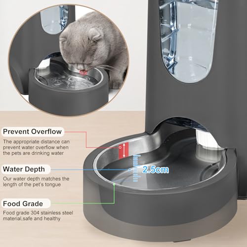 Automatic Pet Feeder & Water Dispenser Set