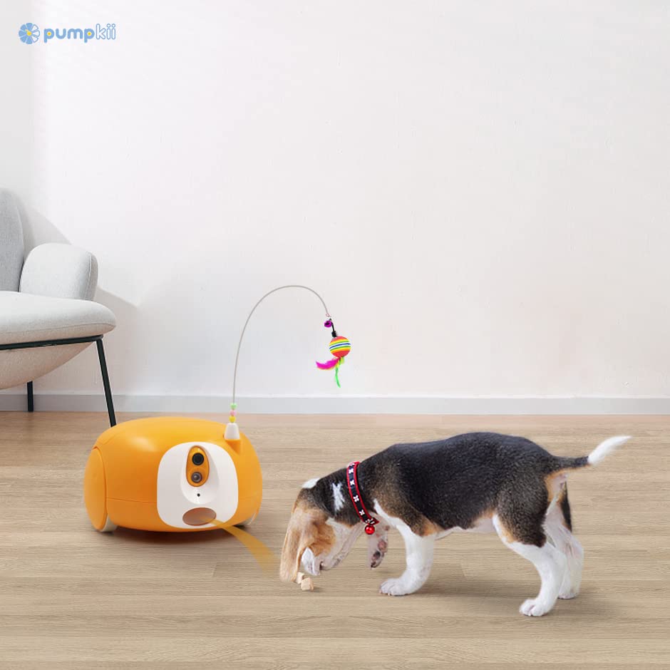 Automatic Pet Feeder with Camera and Night Vision