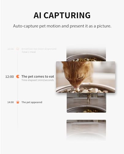 Smart Pet Feeder with Camera and App Control