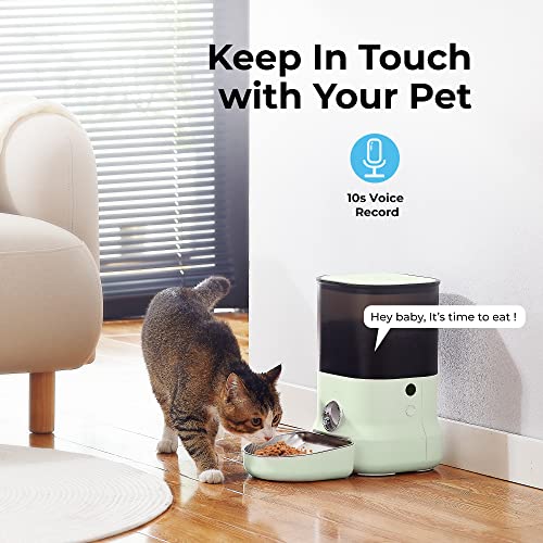Wi-Fi Enabled Smart Pet Feeder for Cats & Dogs