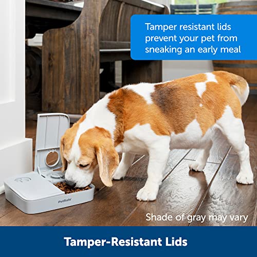PetSafe Programmable 2 Meal Automatic Pet Feeder