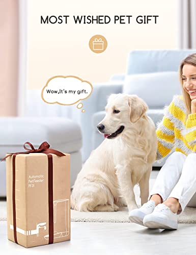 Smart Pet Feeder with Timer and Voice Recorder