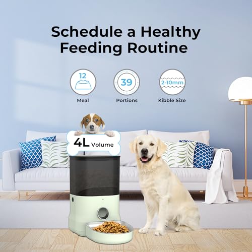Wi-Fi Enabled Smart Pet Feeder for Cats & Dogs