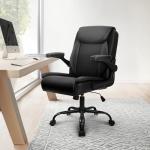 NEO CHAIR Ergonomic Desk Chair with Armrests