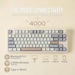 EPOMAKER Galaxy70 Wireless Gaming Keyboard, 75% Aluminium Mechanical Keyboard, Bluetooth 5.0/2.4GHz/USB-C Wired, Programmable, Hot Swappable, for PC/Mac/Office/Gaming (White, Zebra Switch)