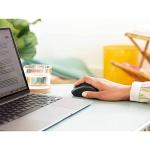 Logitech Limited Edition Wireless Compact Mouse - Golden Garden