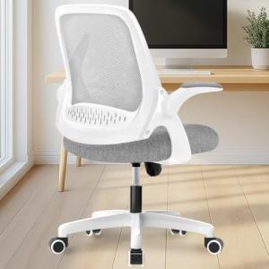 NEO CHAIR Office Desk Computer Gaming Ergonomic Chair with Lumbar Back Support Adjustable Height Swivel Wheels Flip-up Arms Mesh Chair for Home or Office (Grey)