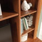 Sauder Orchard Hills Computer Desk with Cage