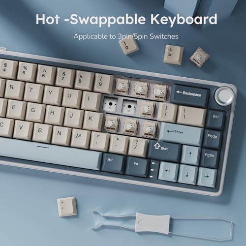 RK Royal Kludge R65 Wireless Mechanical Gaming Keyboard