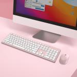 LeadsaiL Pink Wireless Keyboard and Mouse Combo, Full-Sized Ergonomic Computer Keyboard, 2.4GHz Cordless Keyboard Silent Mouse Set with 2-in-1 USB Receiver, 12 FN Shortcuts for Windows Laptop, PC/Mac
