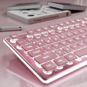 SEUNKWANG EWEADN GX710S Backlit Computer Keyboards, Wired USB Keyboard with White Backlit, Metal Panel, Plug and Play, Pudding Keycaps Full Size Quite Computer Keyboard for Win/PC/Laptop-Pink