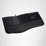 Kensington Pro Fit Ergonomic Wired Keyboard- Black (K75400US)