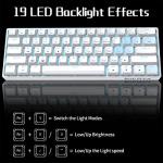 DIERYA 60% Mechanical Keyboard, DK61se Wired Gaming Keyboard with Red Switches, LED Backlit Ultra-Compact 61 Keys Mini Office Keyboard for Windows Laptop PC Gamer Typist（White）
