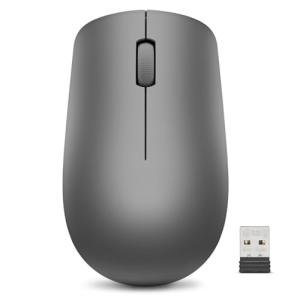 Lenovo 530 Full Size Wireless Computer Mouse for PC, Laptop, Computer with Windows - 2.4 GHz Nano USB Receiver - Ambidextrous Design - 12 Months Battery Life - Graphite Grey