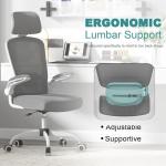 Mimoglad Ergonomic Office Chair with Adjustable Lumbar Support