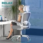 Mimoglad Ergonomic Office Chair with Adjustable Lumbar Support