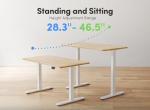 Electric Height Adjustable Ergonomic Standing Desk