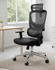 Marsail Ergonomic Office Chair with Lumbar Support, High Back Desk Chair with 2D Headrest & Flip-Up Armrests Gaming Computer Task Chair Tilt Function Black