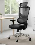 Marsail Ergonomic Office Chair with Lumbar Support, High Back Desk Chair with 2D Headrest & Flip-Up Armrests Gaming Computer Task Chair Tilt Function Black