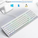 HUO JI E-Yooso Creamy Mechanical Keyboard Wired, Hot Swappable, Pre-lubed Linear Switches, Gasket Structure with Sound Dampening Foam, RGB Backlit, 99 Keys Custom Gaming Keyboard for PC/Mac,White