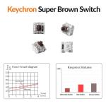 Keychron K10 Full Size 104 Keys Bluetooth Wireless Mechanical Gaming Keyboard for Mac Windows with Keychron Super Brown Switch, Multitasking/White LED Backlight/USB C Wired Computer Keyboard